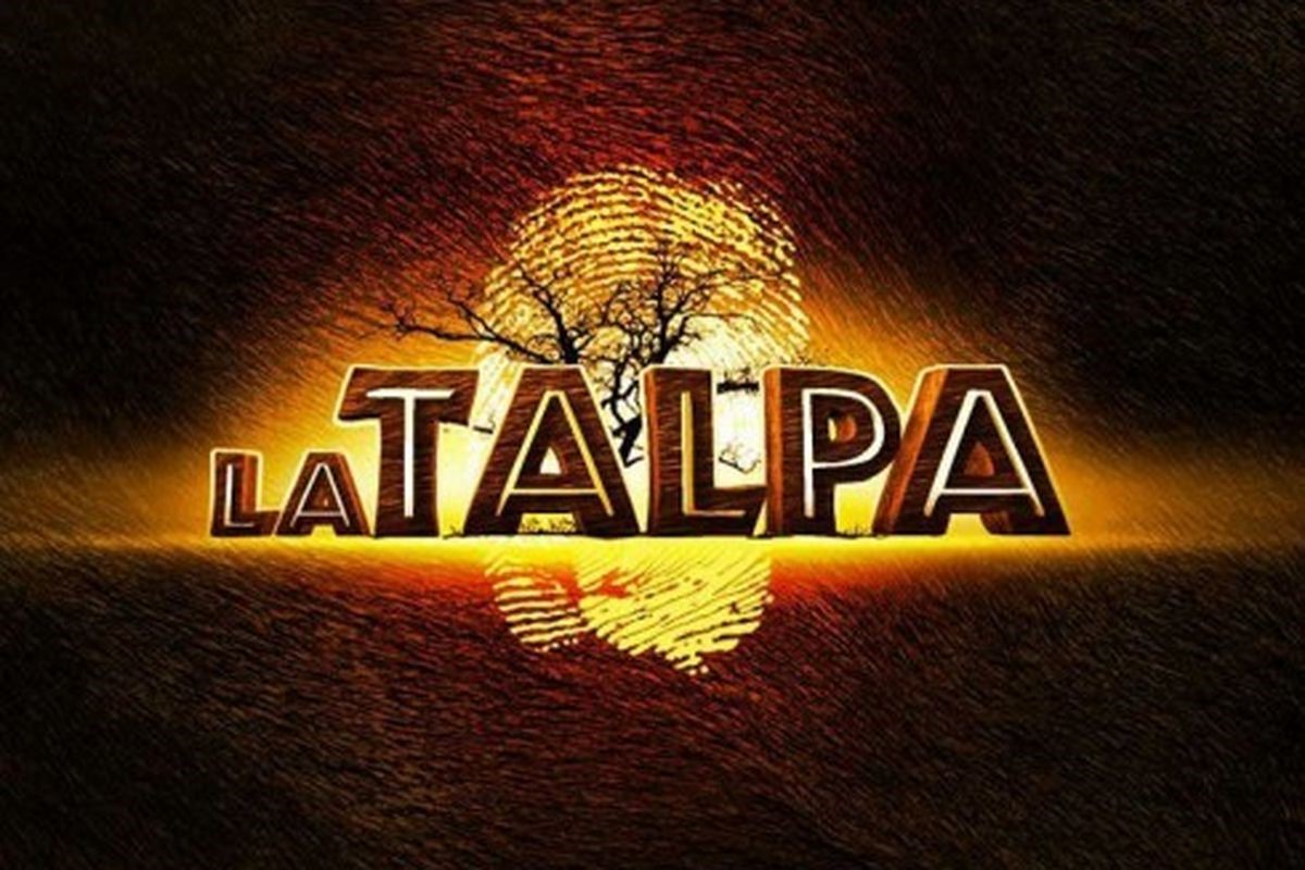 Reality show La Talpa is back on Mediaset - announced by Pier Silvio Berlusconi